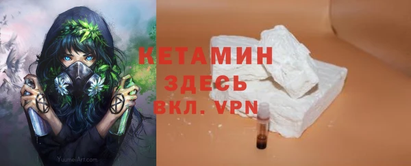 крисы Аркадак