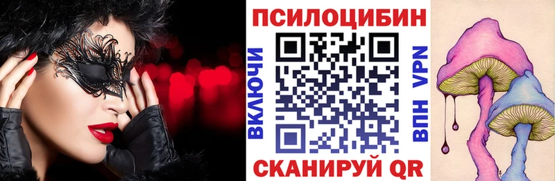 blacksprut зеркало  Сухиничи  Псилоцибиновые грибы Cubensis 